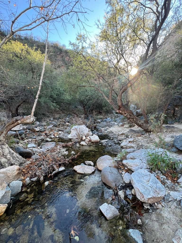 Los Alisos en las Aguas Termales